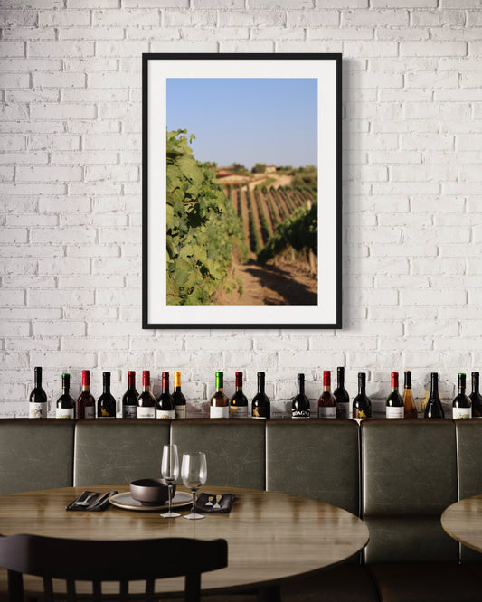 Italy Print No. 3